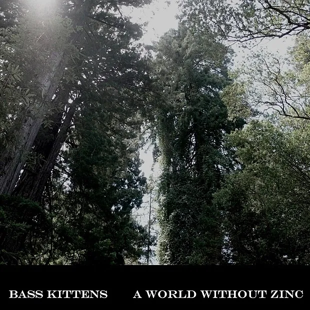 Bass Kittens, A World Without Zinc cover